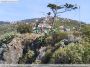pico da cruz ribeira brava